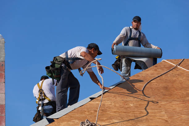 Best Sealant for Roof  in Coopersville, MI