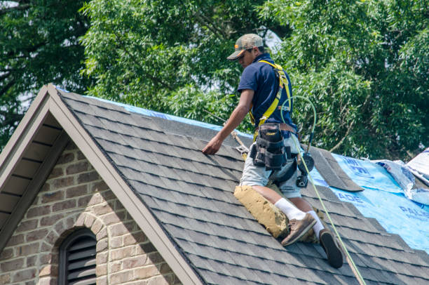 Best Roofing Contractor Near Me  in Coopersville, MI